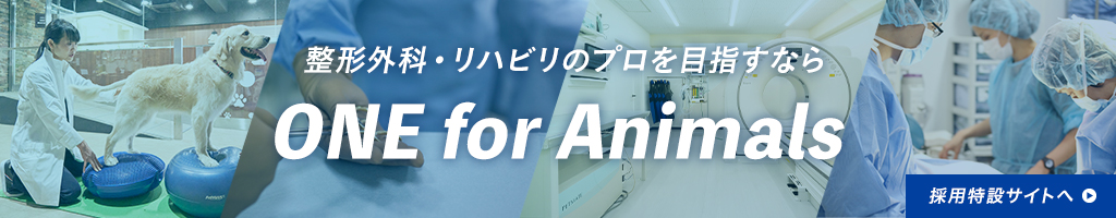 整形外科・リハビリのプロを目指すなら ONE for Animals 採用特設サイトへ